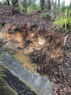 erosion away hillside portion carved stormwater preventing