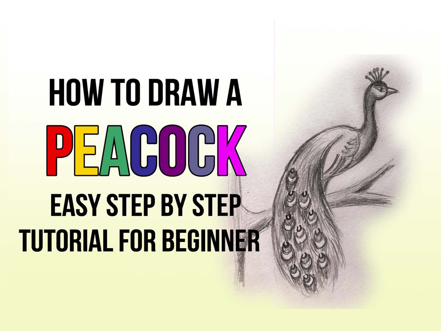 How to Draw a Peacock - HelloArtsy