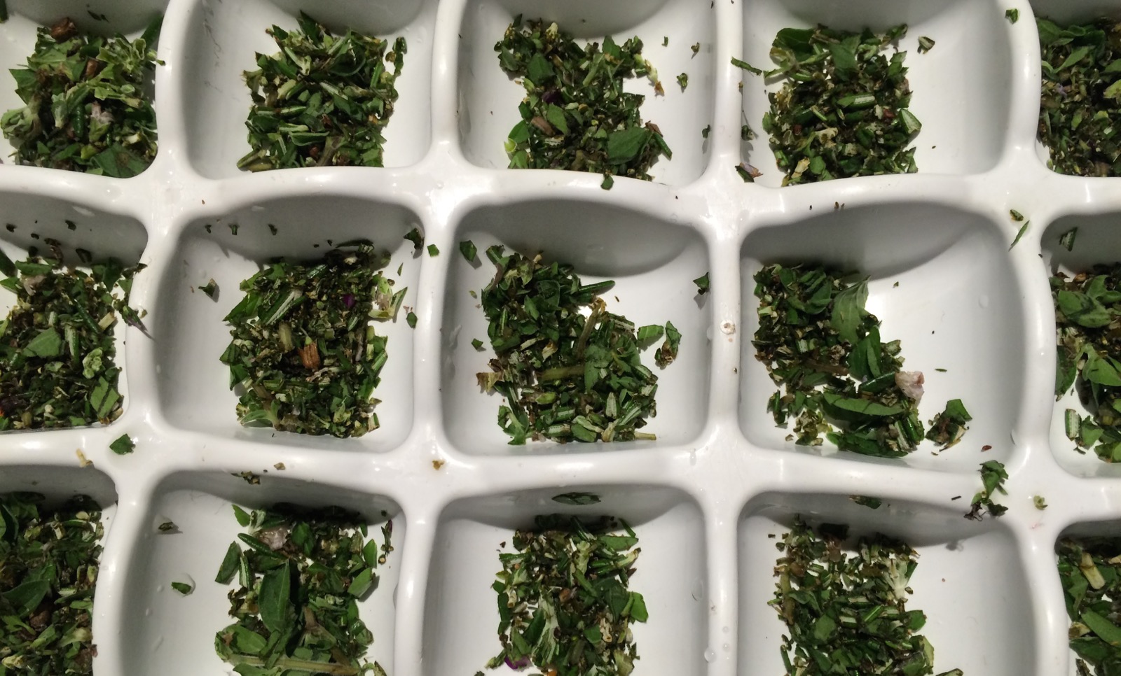 Extending an abundant herb harvest how to make frozen herb cubes