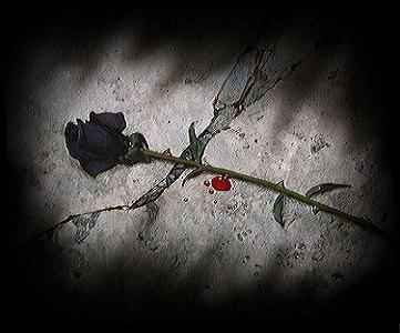 mi rosa negra