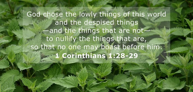    God chose the lowly things of this world and the despised things—and the things that are not—to nullify the things that are, so that no one may boast before him. 
