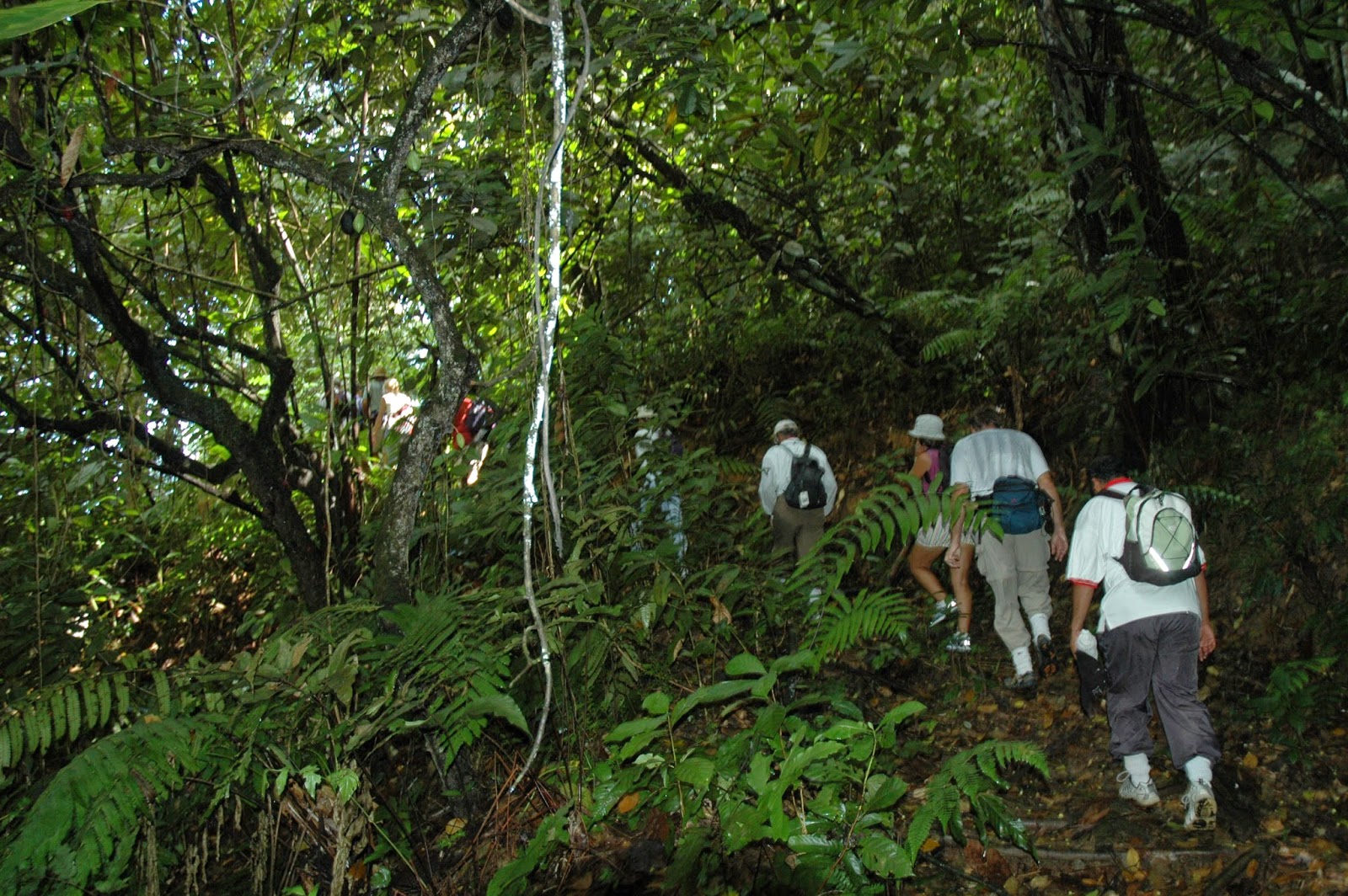 Trinihikers Inc. Trinidad & Tobago A Hikers Paradise!!