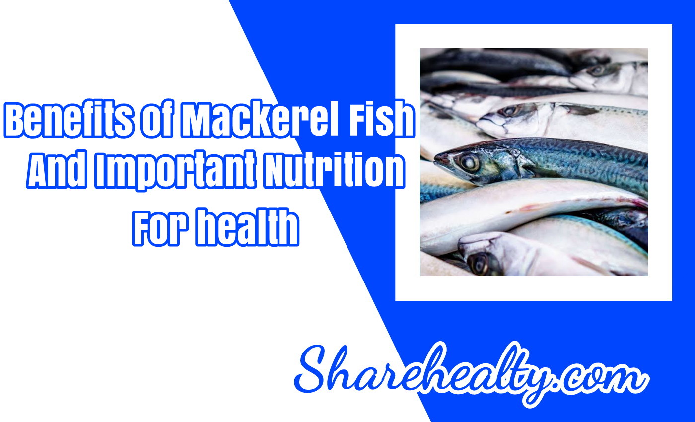 [Full] 17 Benefits of Mackerel Fish and Important Nutrition for health