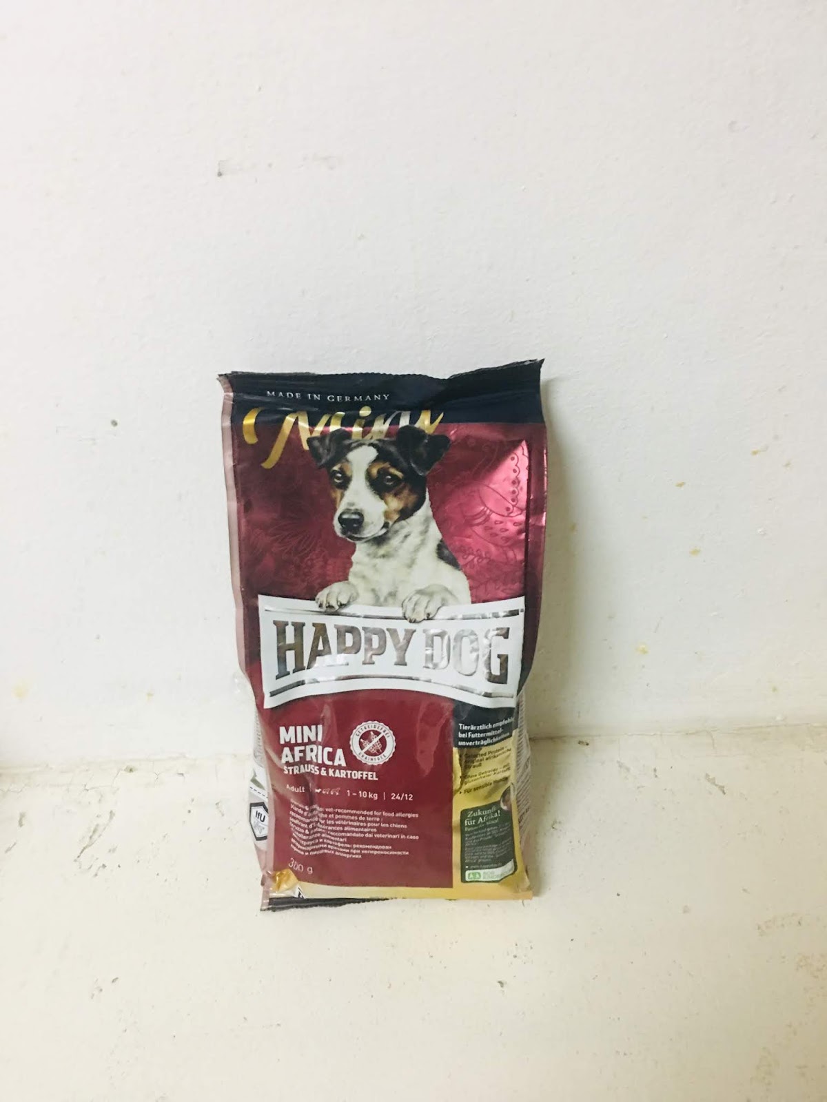 mini africa happy dog