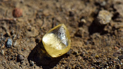 Người phụ nữ tìm thấy viên kim cương màu vàng 4 carat trong công viên bang Arkansas