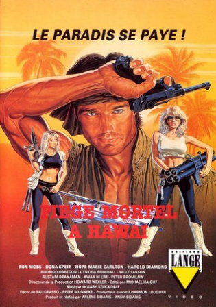 18+ Hard Ticket To Hawaii 1987 BRRip 300Mb UNRATED Hindi Dual Audio 480p