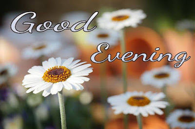 Good evening image wishes download Good evening image wishes download
