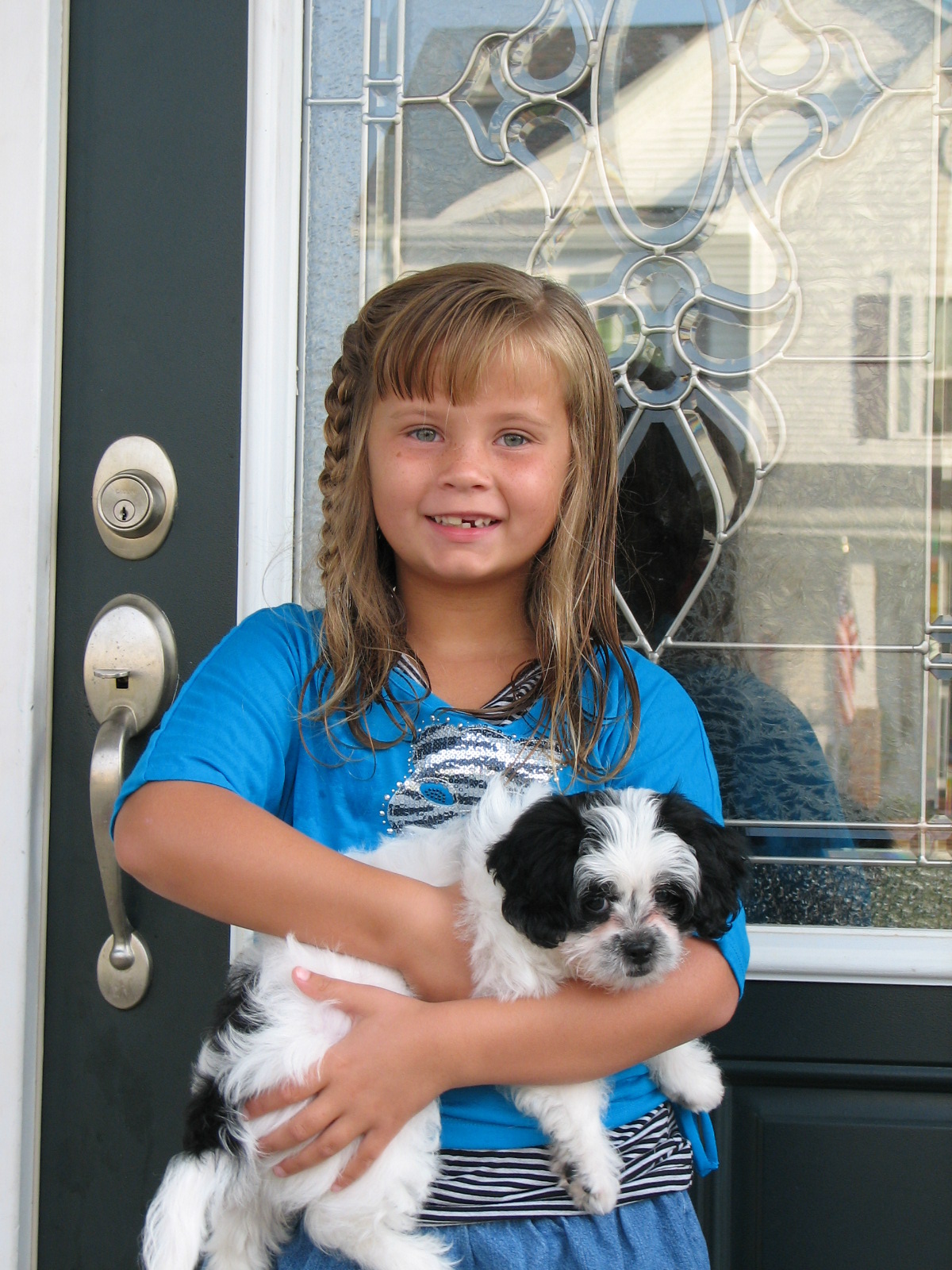 Too Many To Count 2 look how our furbaby has grown