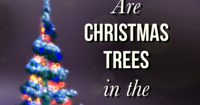 &quot;My Treasure Box&quot; ARE CHRISTMAS TREES REFERENCED IN THE