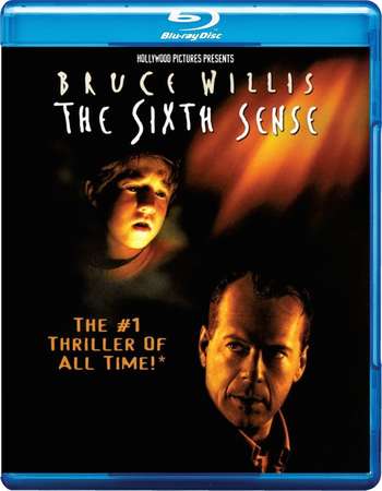 Poster Of The Sixth Sense 1999 English 300MB BRRip 480p ESubs Free Download Watch Online