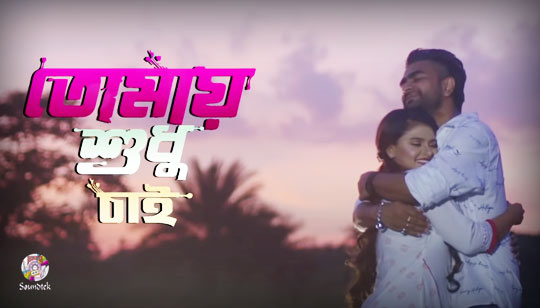 Tomay Shudhu Chai Lyrics (তোমায় শুধু চাই) Imran | Bristy