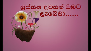 Sinhala Wishes and SMS | සිංහල සුභපැතුම් එකතුව