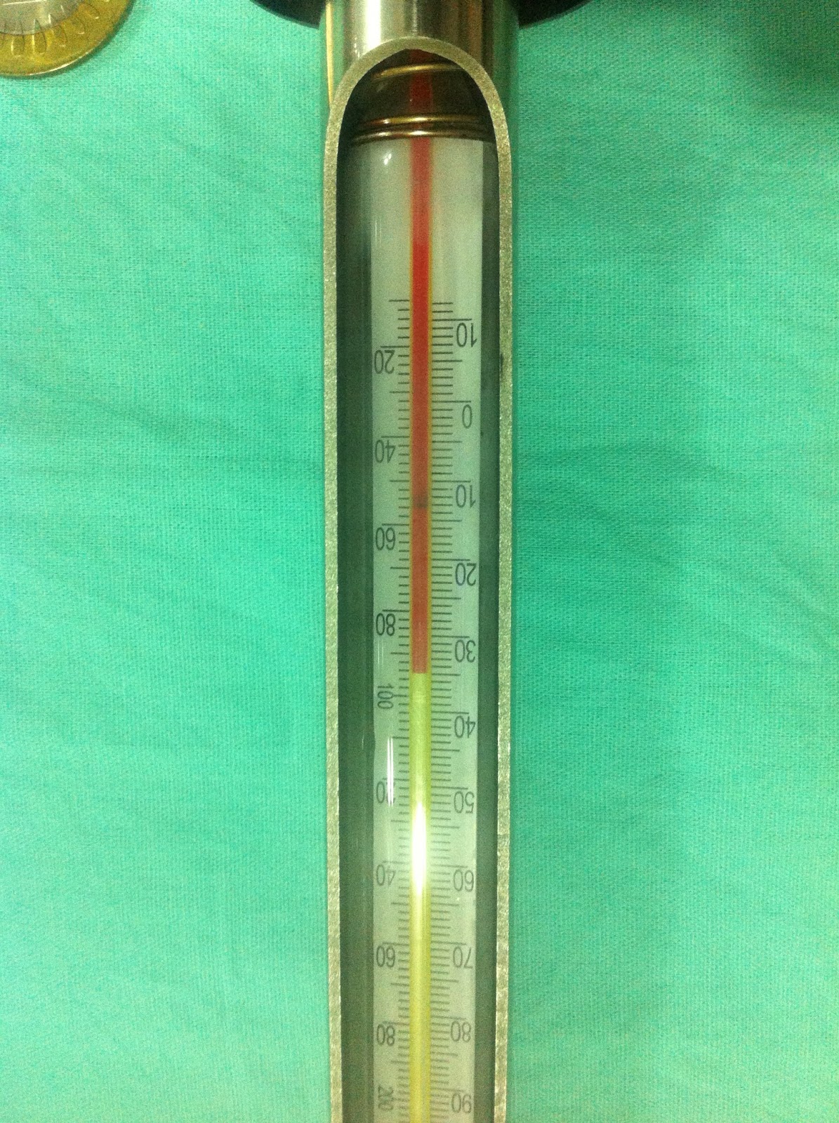 Shayona Electronics Tank Thermometer with Sampler
