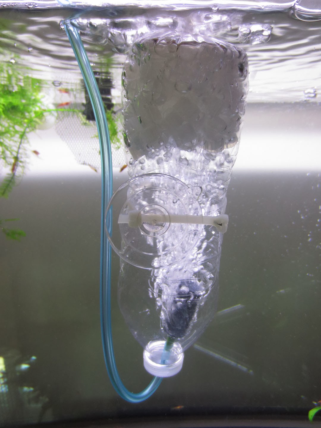 Many Hats of Me: DIY Kaldnes Media Aquarium Filter - A ...