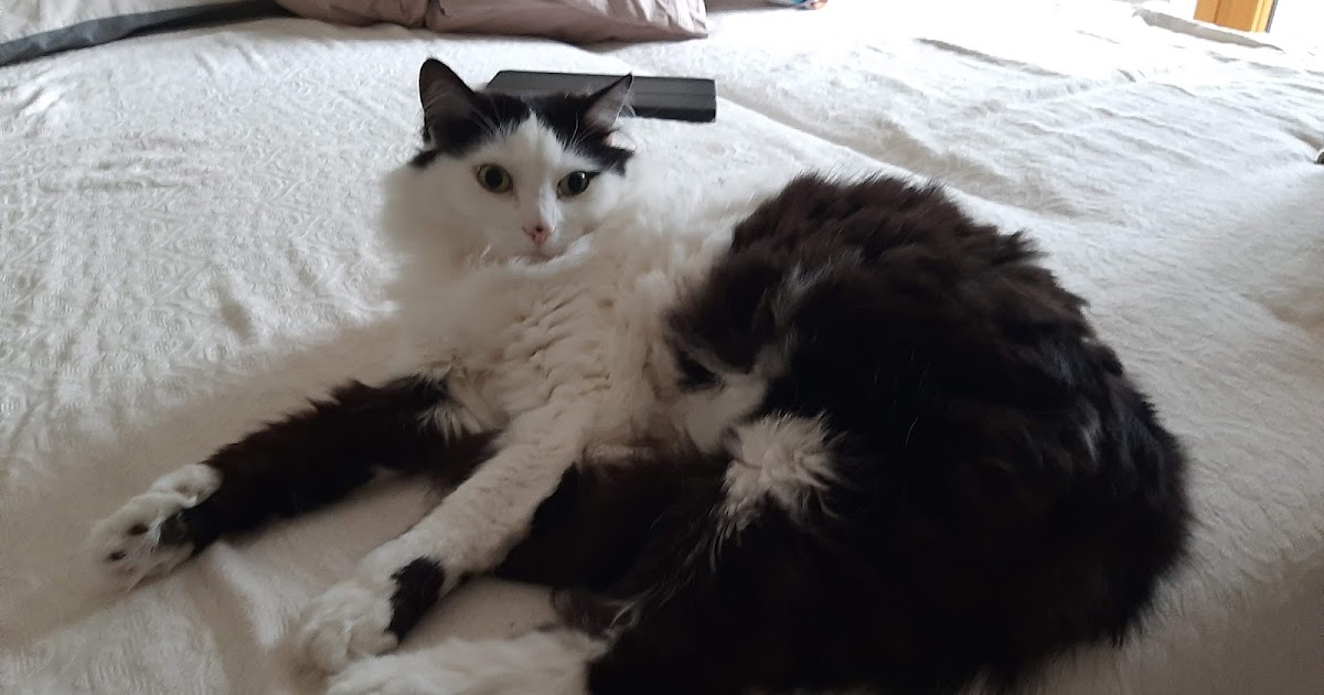 Historias para aburrir mariposas