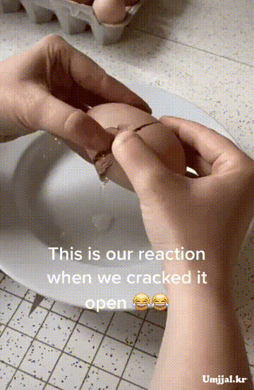 3.gif