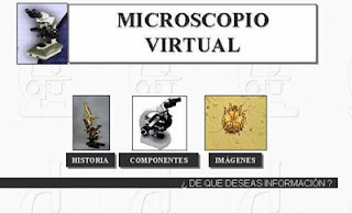Biología y Geología de 3º ESO: Microscopía virtual
