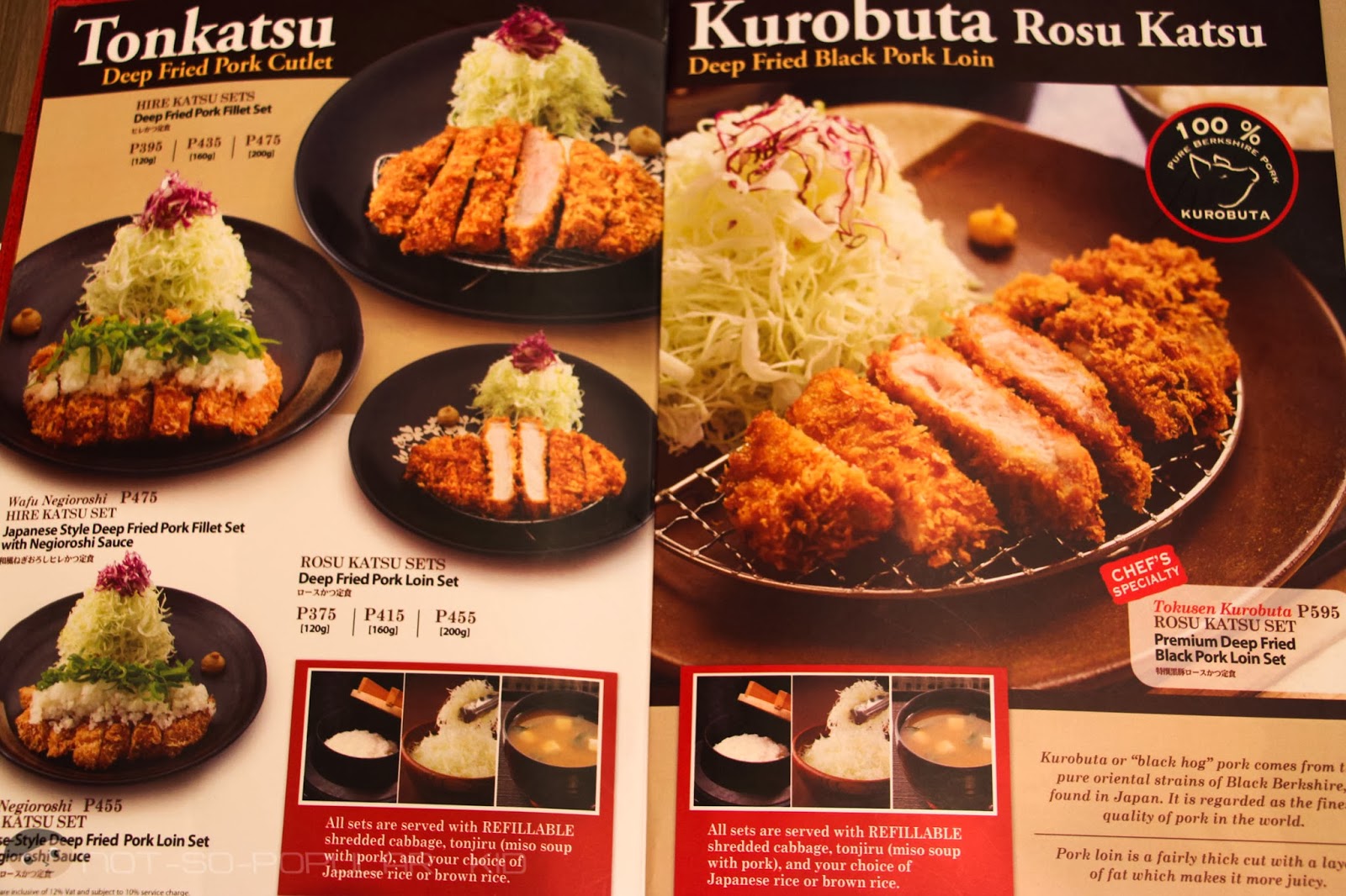 TONKATSU by Terazawa A New Katsu Favorite A NotSoPopular Kid