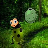 Games2Rule Crazy Beetle forest Escape