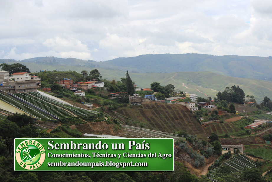 paisaje agrícola Pozo de Rosas Estado Miranda