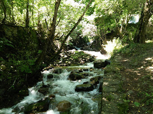 Rilska River stream  flowing near Rila  Monastery.