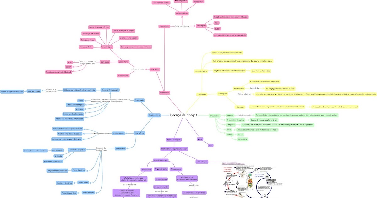 MAPA MENTAL DOENÇA DE CHAGAS (PROTOZOOSE)