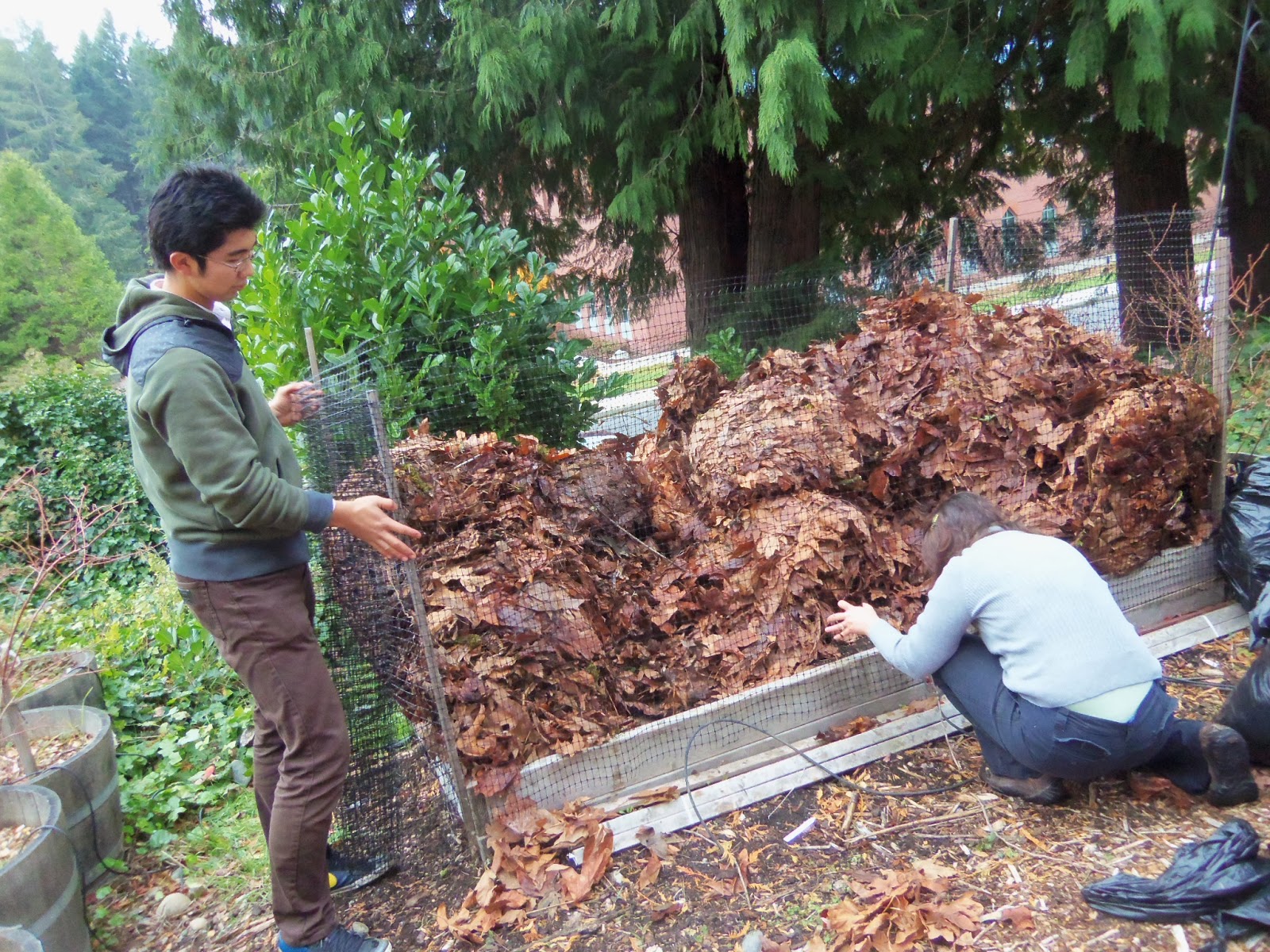 Sustainable Saints Leaf Mold Bin