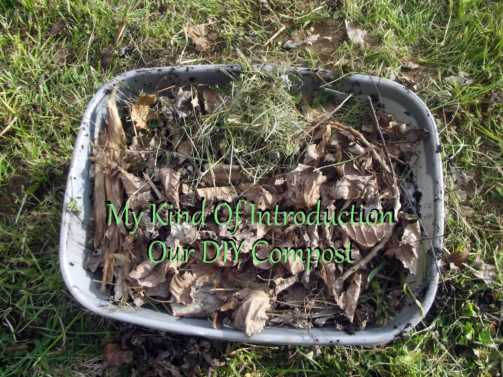 My Kind Of Introduction How to make a Compost Pile with a Storage Tote