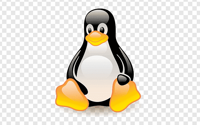 Essential Tools and Apps for Linux Users in 2021