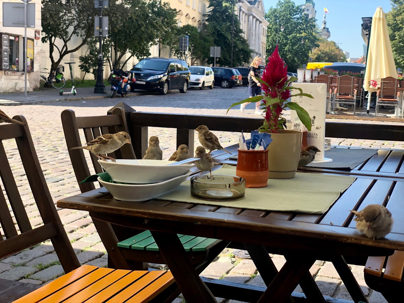 Kahve Bahane Tatilin Daniskası Bir Tutam Karınca