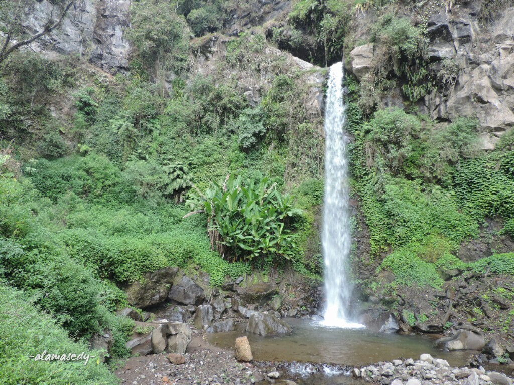 MENYATU DALAM HARMONI COBAN TENGAH - alaMasEdy