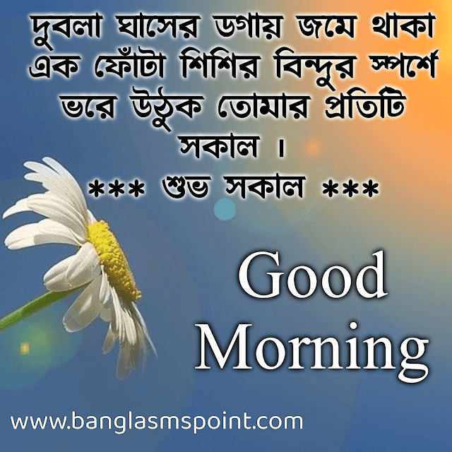 Sms good morning 250+ Special