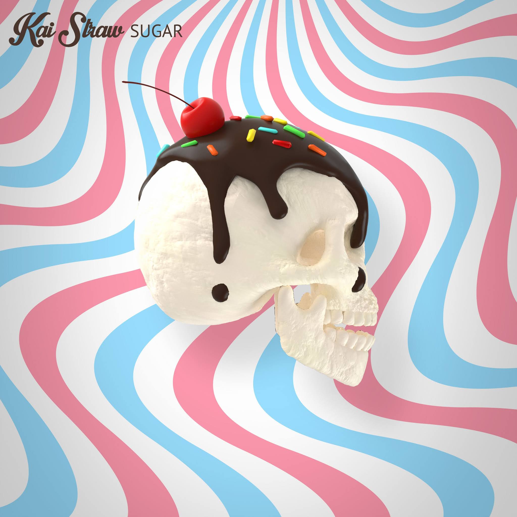 Kai Straw Sugar csgmblog