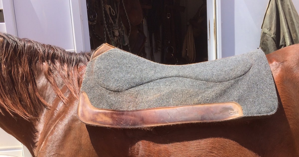 Functional Horsemanship More on the CSI Saddle Pad