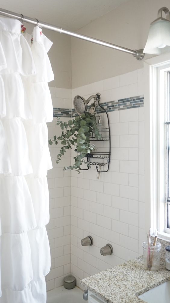 Moon to Moon 6 ways with Eucalyptus in the home..