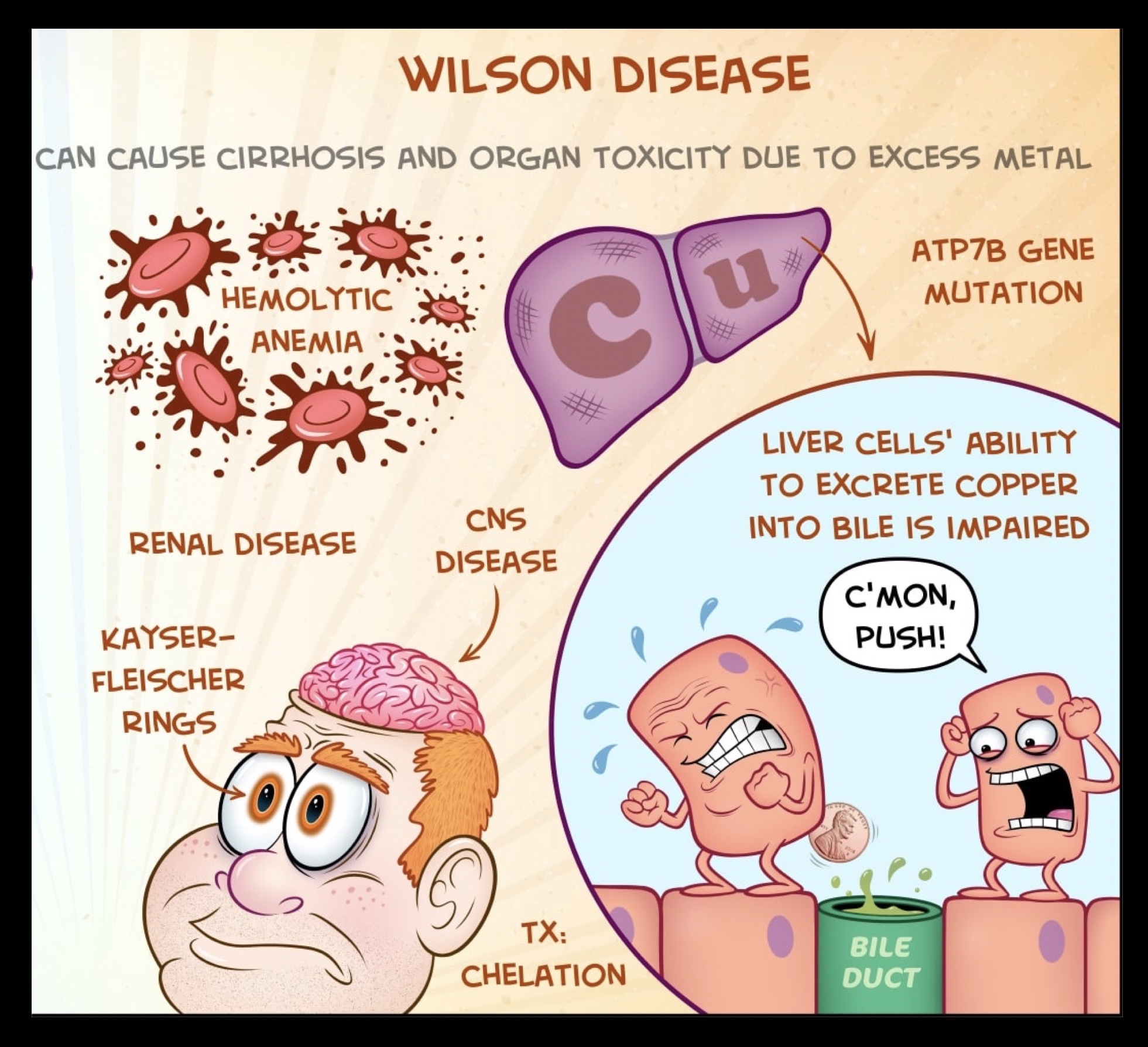 "THE COPPER HEAD" AN INTRODUCTION TO WILSON'S DISEASE !!! BY DR