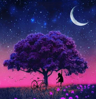 صور روعة خلفيات جميلة 2020