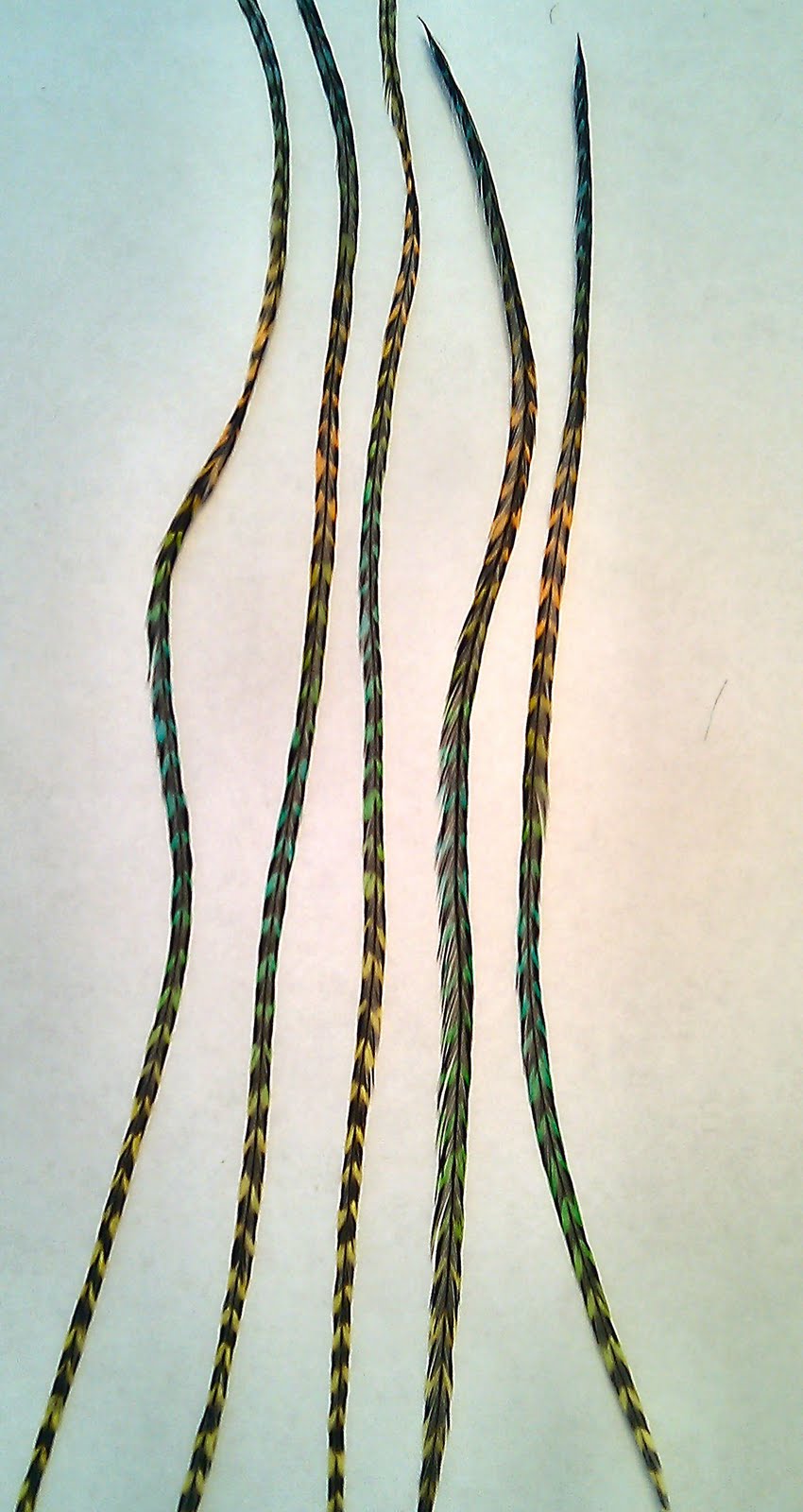 Plume4You Feather Hair Extensions Tie Dye Feathers!