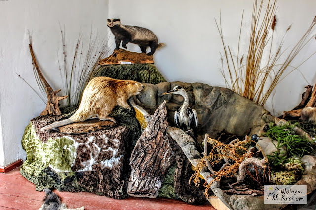 Zamek Grodno w Górach Sowich