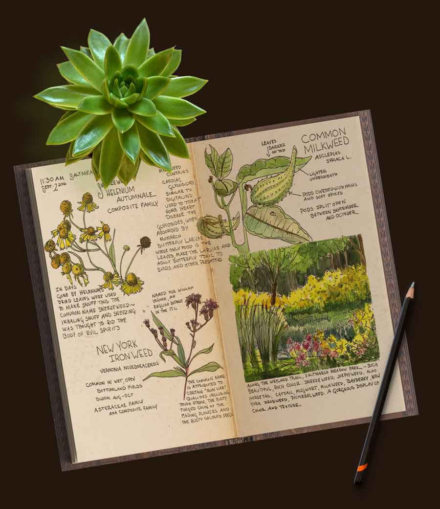 Why Keep A Nature Journal