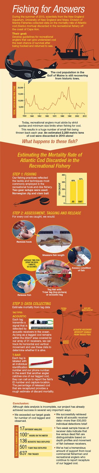 Global Explorers Blog