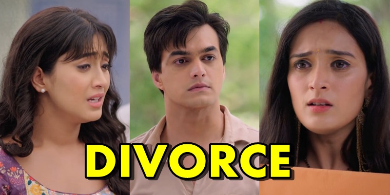 DIVORCE : Kartik to divorce Vedika not Naira in Yeh Rishta Kya Kehlata