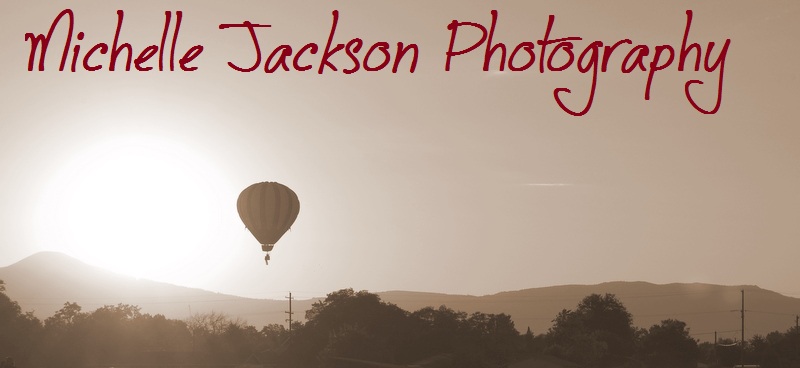 Michelle Jackson Photography