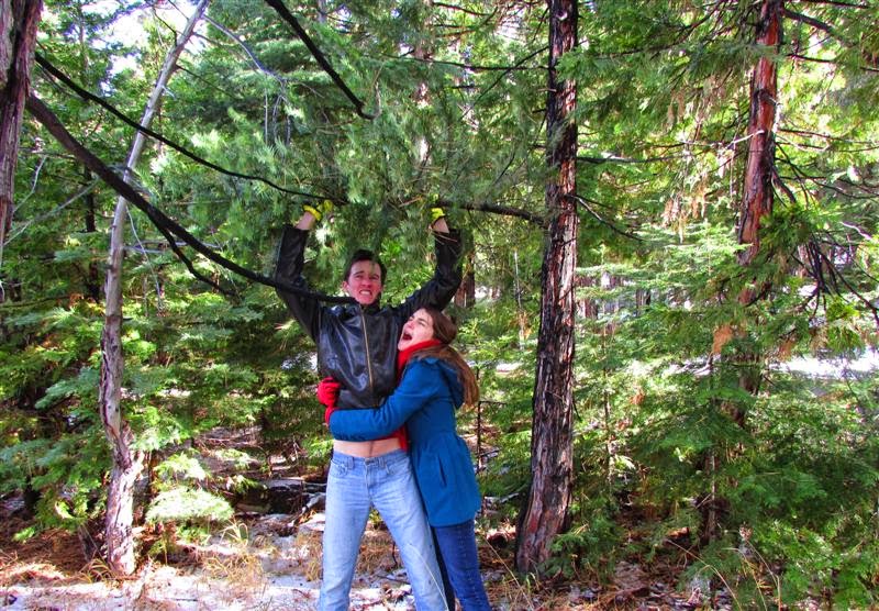 Christmas Tree Cutting in Tahoe... HAERR TRIPPIN'