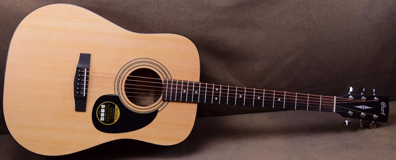 5 Merek Gitar yang Bagus Dibawah 2 Juta di Tahun 2020 PETER DE VRIES