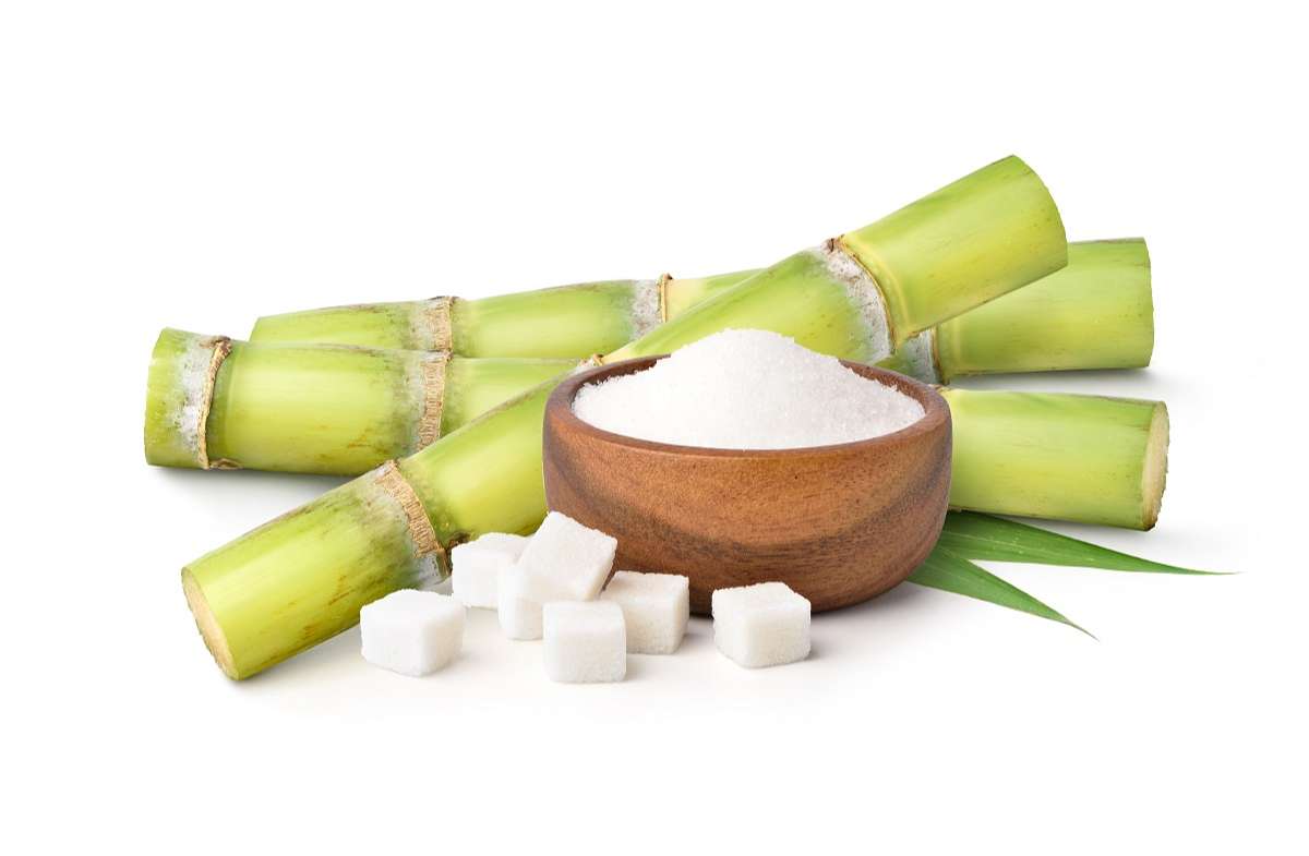 Сахарный тростник формула. Сахарный тростник Вьетнам. Sahornyy trasnik. Сахарный тростник на белом фоне. Тростник сахар.