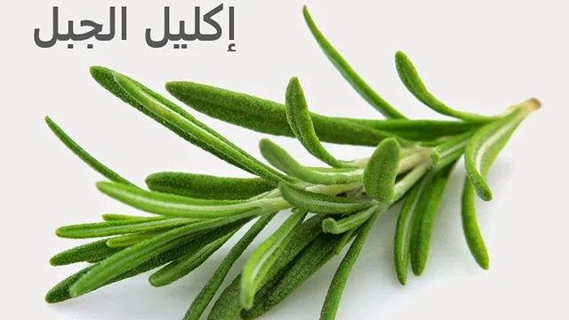 علاج تساقط الشعر,تساقط الشعر,التخلص من تساقط الشعر,تساقط الشعر وعلاجه,علاج تساقط الشعر الشديد,طرق علاج تساقط الشعر,علاج تساقط الشعر عند النساء,لتساقط الشعر,علاج تساقط الشعر نهائيا,تساقط الشعر للنساء,علاج تساقط الشعر الوراثي,علاج تساقط الشعر بعد الولادة,منع تساقط الشعر,لمنع تساقط الشعر,حل تساقط الشعر,تكثيف الشعر,أسباب تساقط الشعر,تكثيف ومنع تساقط الشعر,تساقط الشعر عند البنات,الحد من تساقط الشعر,علاج مشكلة تساقط الشعر,الشعر,تساقط الشعر في المنام أفضل 10 مكملات غذائية طبيعية للحد من تساقط الشعر