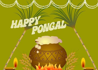 happy pongal wishes in english