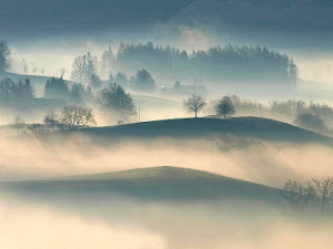 Tipos de niebla: fog, mist, haze, smog