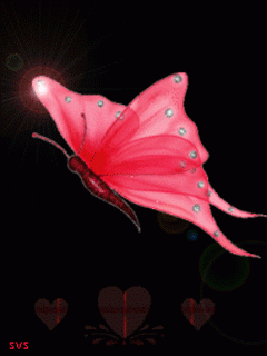 Free Animated Butterfly Wallpaper